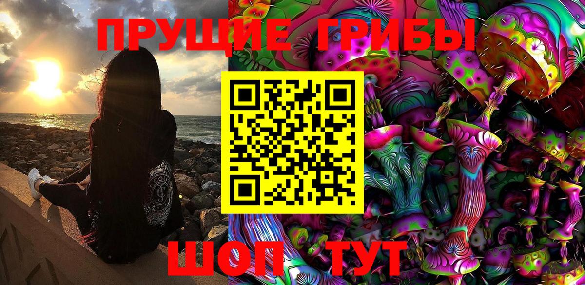 Вышний Волочёк  Псилоцибиновые грибы Cubensis  Вход с VPN 