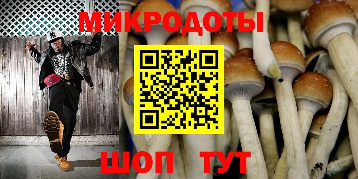 Галлюциногенные грибы Psilocybe Вышний Волочёк